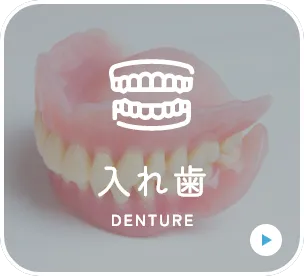 入れ歯